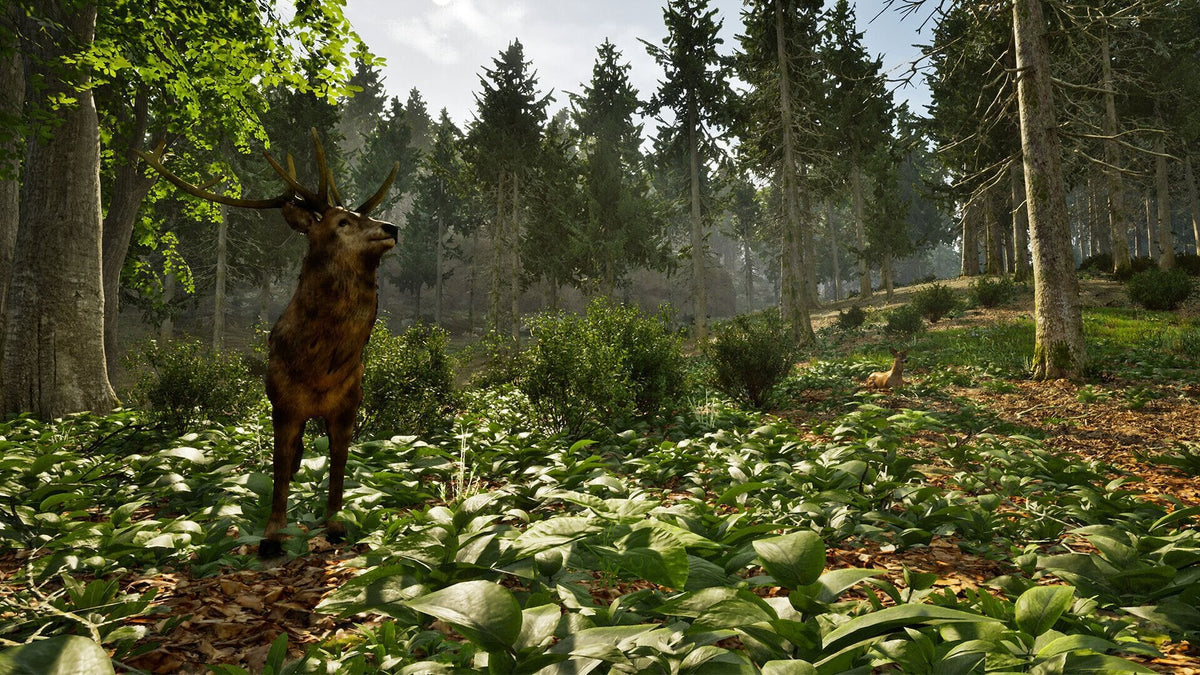 Park Ranger Simulator (Playstation 5) 4015918166201