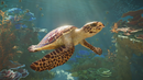 Planet Zoo 2 (Playstation 5) 5056208828293