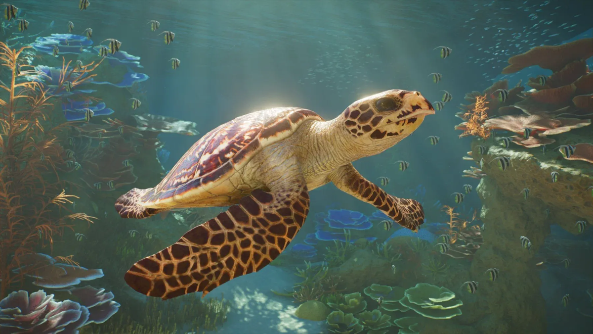Planet Zoo 2 (XBOX Series X) 5056208828378