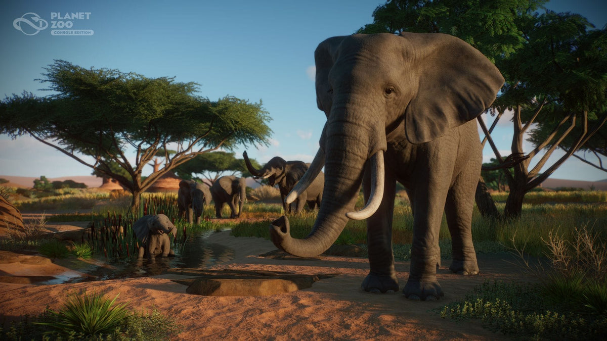 Planet Zoo - Console Edition (Playstation 5) 5056208823823