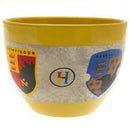 PYRAMID HARRY POTTER (HOUSES) HUGGY MUG 5050574259507