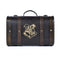PYRAMID Harry Potter Trouble finds me gift set 5050293855363