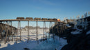 Railroads Online - Pioneer Edition (Playstation 5) 4041417871025