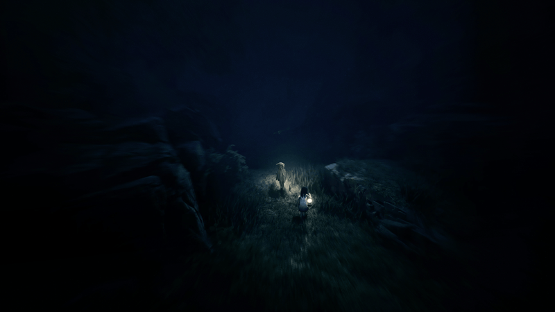 REANIMAL - Collectors Edition (Nintendo Switch 2) 9120131603084