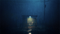 REANIMAL - Collectors Edition (PC) 9120131602865