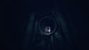 REANIMAL (Nintendo Switch 2) 9120131603091