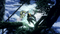 Shadow Labyrinth (XBSX) 3391892035285