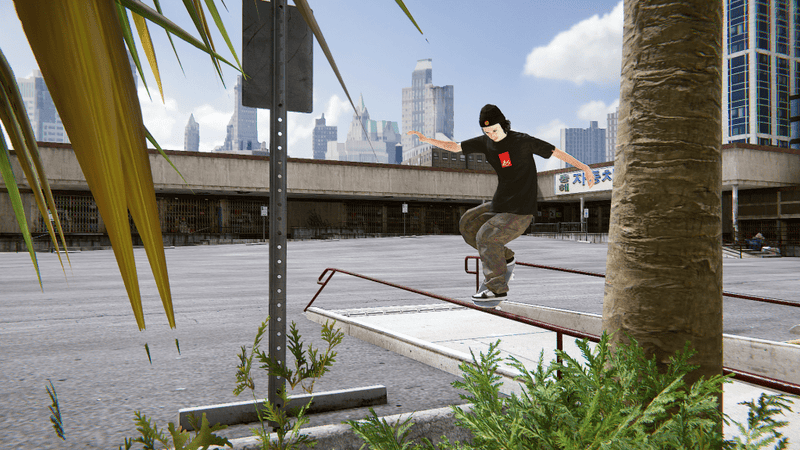 Nintendo switch skater 2024 xl