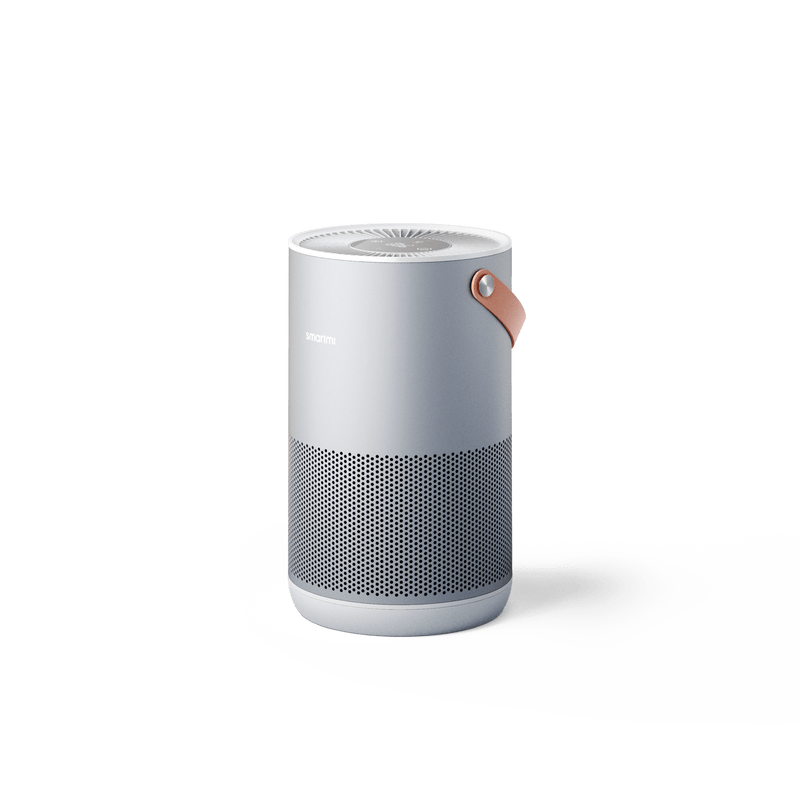 SMARTMI AIR PURIFIER P1 (SILVER) 6970403201769