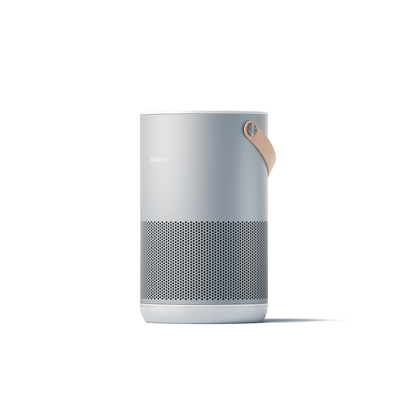 SMARTMI AIR PURIFIER P1 (SILVER) 6970403201769