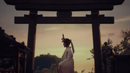 Sombras: Negative Frames - Special Frame Edition (Playstation 5) 8436622261239