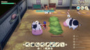 Story Of Seasons: Grand Bazaar (Nintendo Switch 2) 5060540773166
