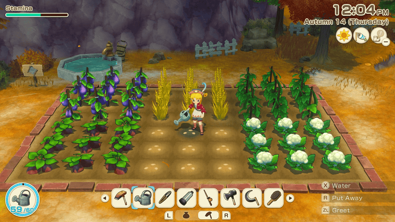 Story Of Seasons: Grand Bazaar           (SWITCH) 5060540772824