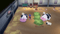 Story Of Seasons: Grand Bazaar           (SWITCH) 5060540772824