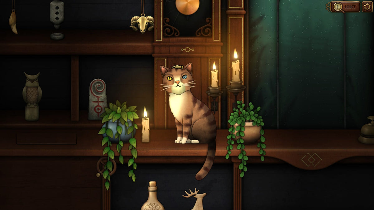 Strange Horticulture & Antiquities Pack (Nintendo Switch) 5061078711514
