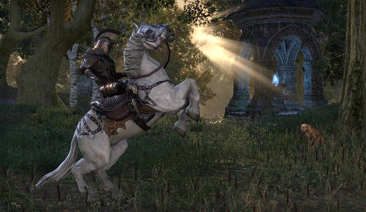 The Elder Scrolls Online: Tamriel Unlimited (Playstation 4) 093155149380