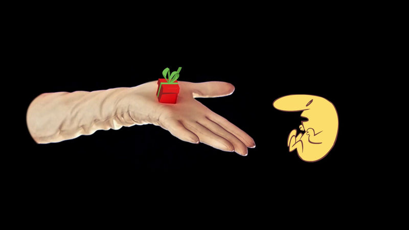 The Many Pieces Of Mr. Coo - Fantabulous Edition (Nintendo Switch) 8437024411215