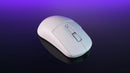 TURTLE BEACH MOUSE BURST II AIR WHITE 731855721016