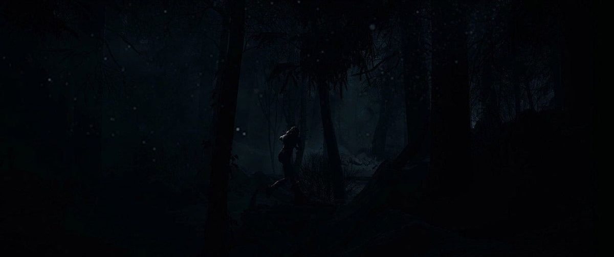 Until Dawn (Playstation 5) 711719587422