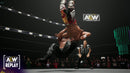 AEW: Fight Forever (PC) 9120080078353