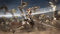 Dynasty Warriors 9 (Xbox One) 5060327534249