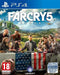Far Cry 5 (Playstation 4) 3307216023197