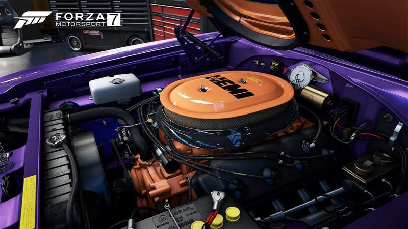 Forza Motorsport 7 (Xone) 889842227932