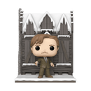 FUNKO POP DELUXE: HP HOGSMEADE- SHRIEKING SHACK W/LUPIN 889698656481