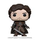 FUNKO POP TV: GAME OF THRONES - ROBB STARK W/SWORD 889698567961