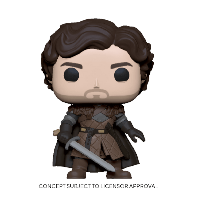 FUNKO POP TV: GAME OF THRONES - ROBB STARK W/SWORD 889698567961