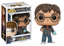 FUNKO POP! VINYL: HARRY POTTER: HARRY W/ PROPHECY 889698109888