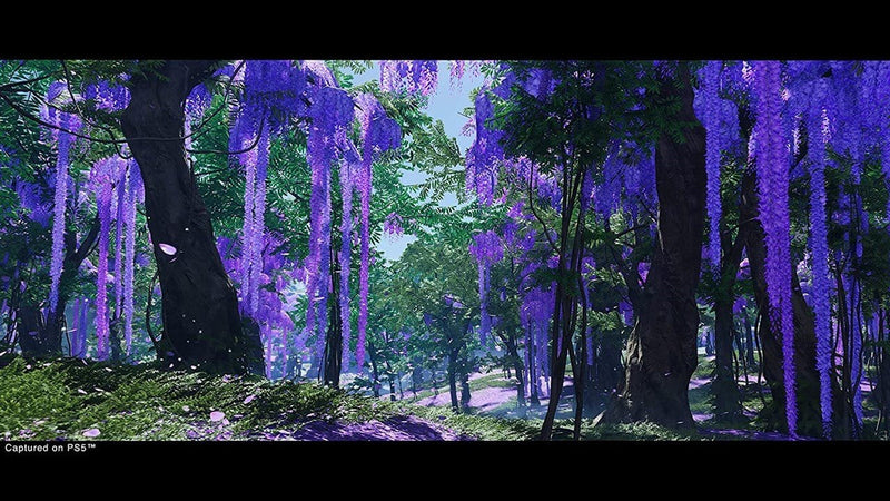 Ghost of Tsushima: Director's Cut (PS5) – igabiba