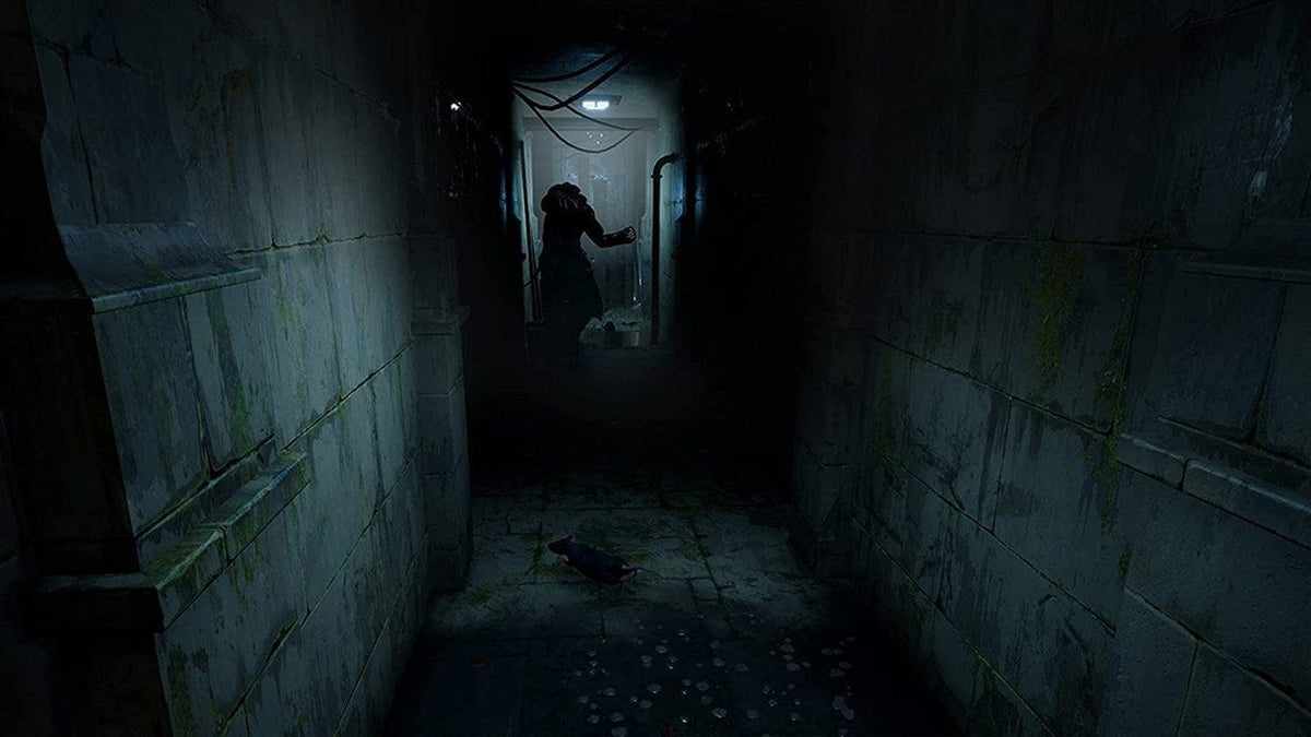 HORROR TALES: The Wine (Playstation 5) 8437021082142
