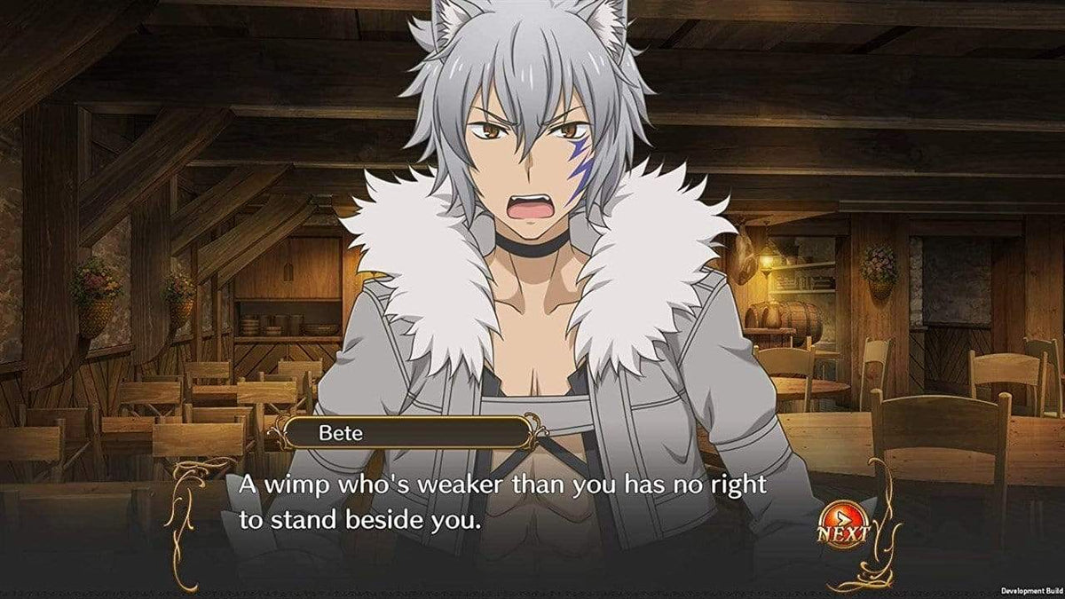 Is It Wrong To Try To Pick Up Girls In A Dungeon? - Infinite Combate (Nintendo Switch) 5060690791195