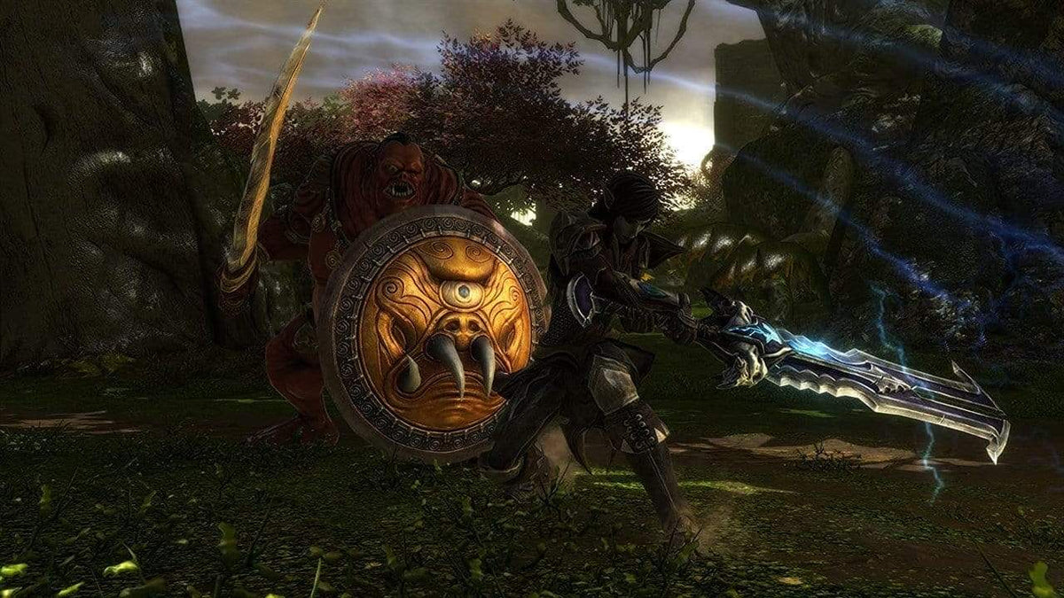 Kingdoms of Amalur Re-Reckoning -Collectors Edition (PC) 9120080075963