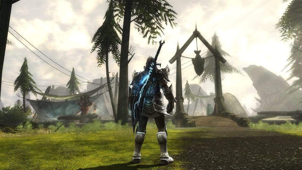 Kingdoms of Amalur Re-Reckoning -Collectors Edition (PC) 9120080075963