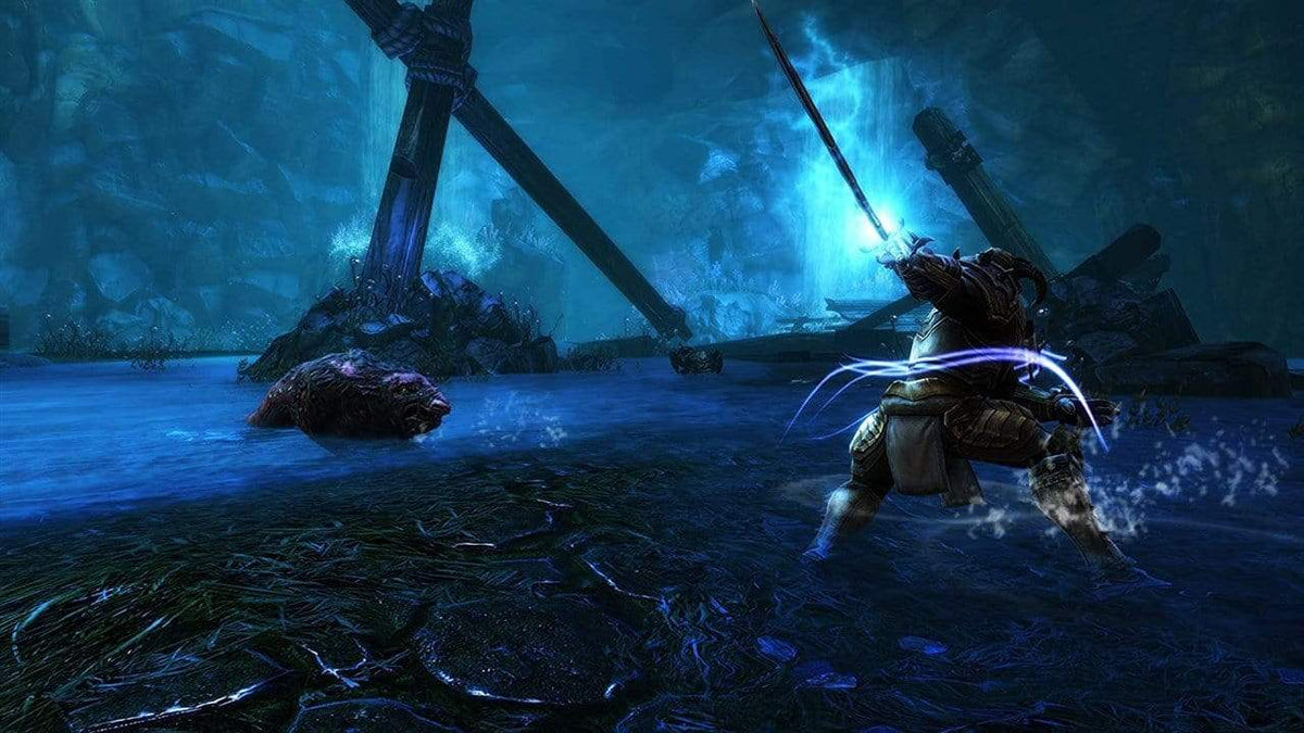 Kingdoms of Amalur Re-Reckoning -Collectors Edition (PC) 9120080075963