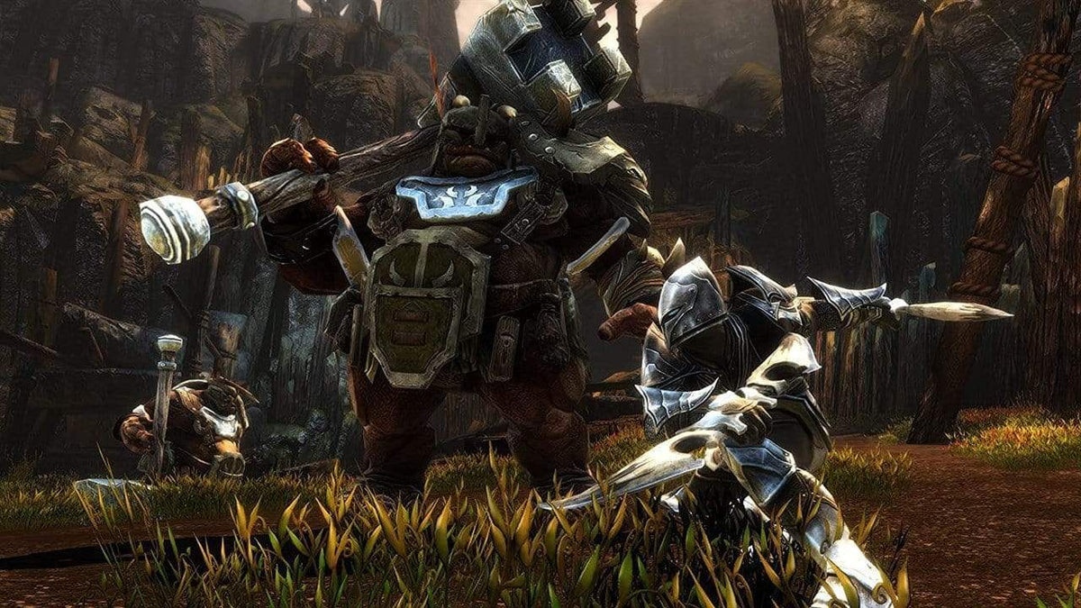 Kingdoms of Amalur Re-Reckoning -Collectors Edition (PC) 9120080075963