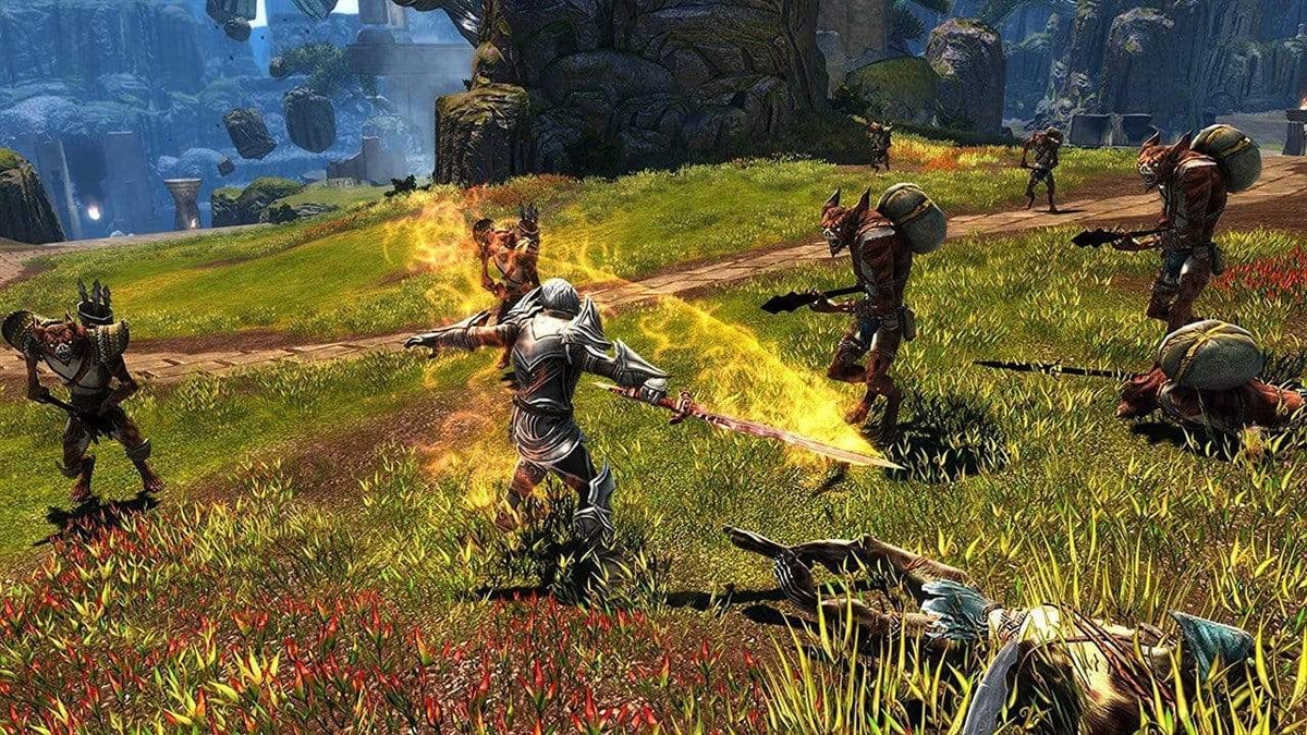 Kingdoms of Amalur Re-Reckoning -Collectors Edition (PC) 9120080075963