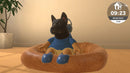 Little Friends: Dogs & Cats (Switch) 5056208803245
