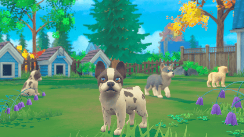 My Universe: Puppies & Kitens (Nintendo Switch) 3760156488837