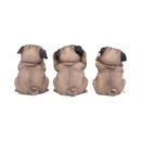 NEMESIS NOW THREE WISE PUGS 8.5CM 801269135751