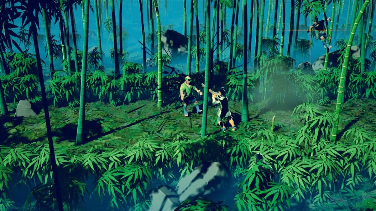 PS4 9 MONKEYS OF SHAOLIN 4020628742737