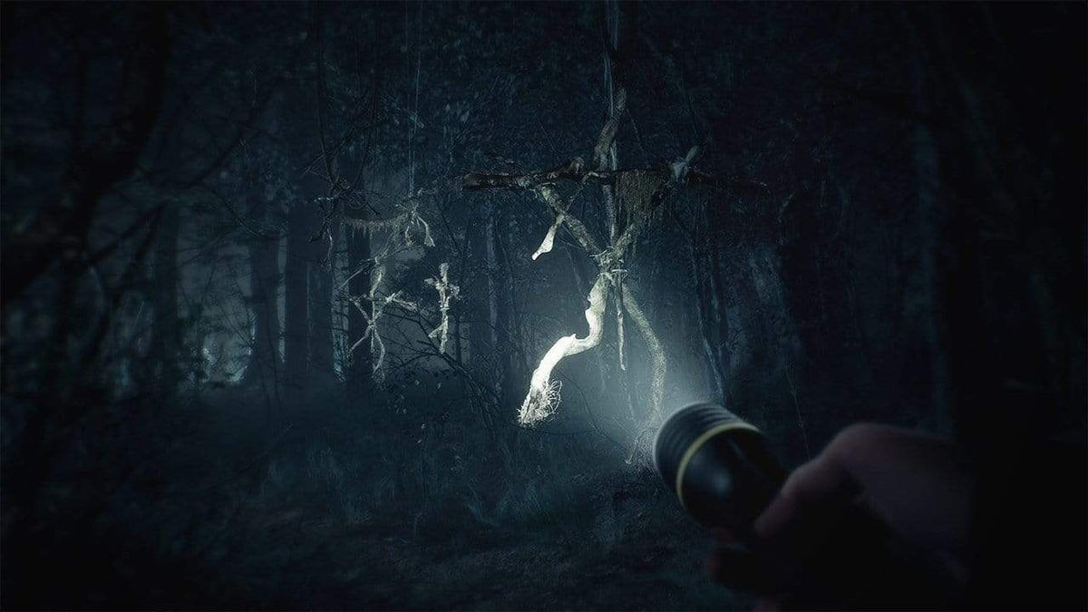 PS4 BLAIR WITCH 4020628730260