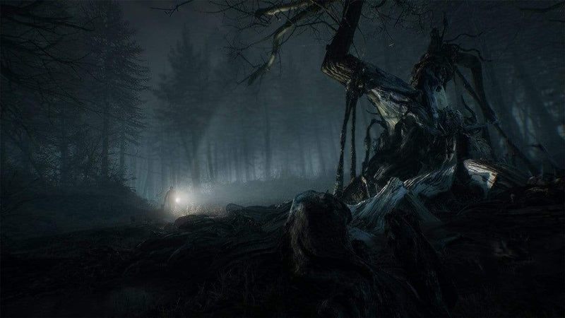 PS4 BLAIR WITCH 4020628730260