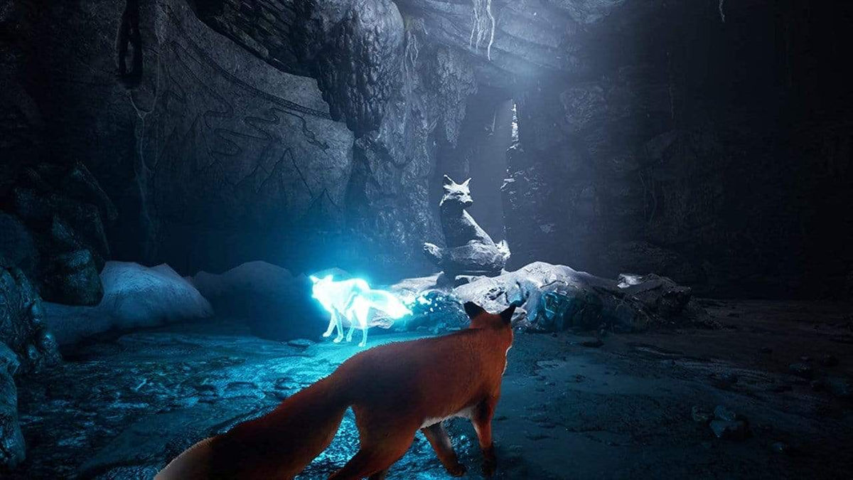 Spirit of the North (Nintendo Switch) 5060264375233