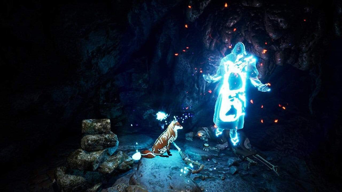 Spirit of the North (PS4) 5060264375219