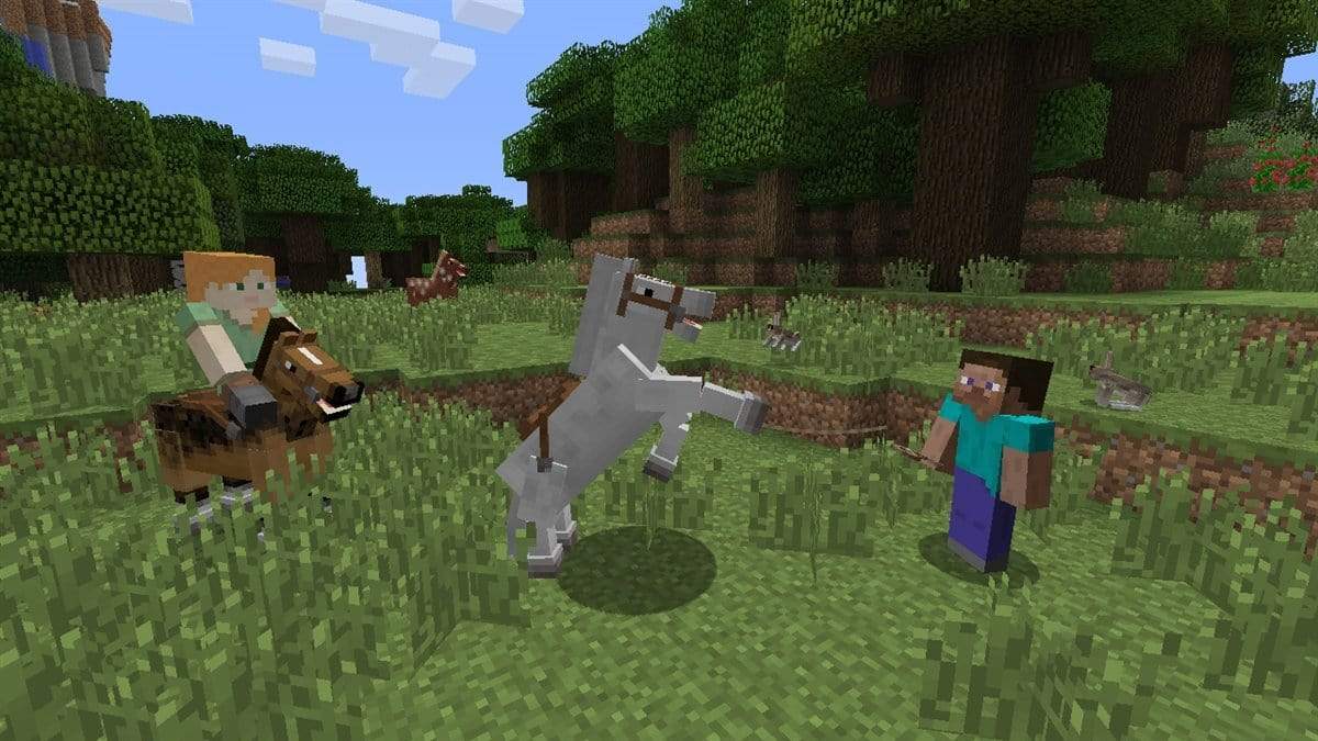 SWITCH MINECRAFT: NINTENDO SWITCH EDITION 045496420628