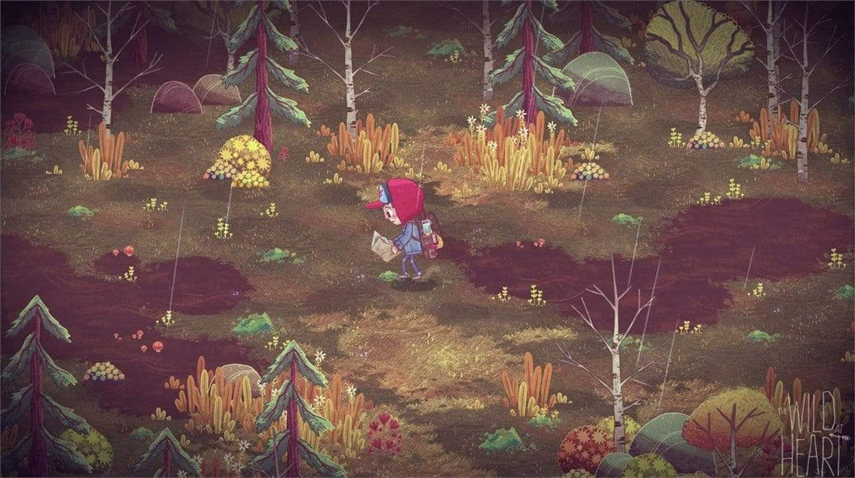 The Wild At Heart (Nintendo Switch) 5060760885540