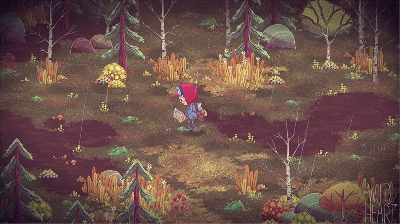 The Wild At Heart (Nintendo Switch) 5060760885540